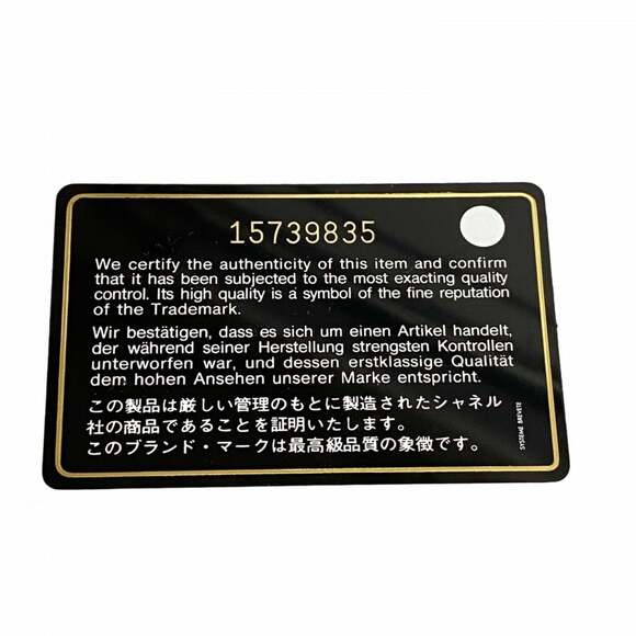 CHANEL Silver Tote Bag - Picture 14 of 14